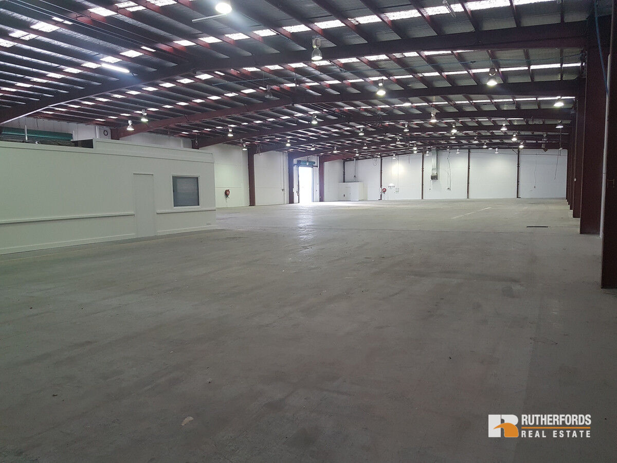 47 Shearson Crescent, Mentone Leased by Rutherfords Real Estate - image 5