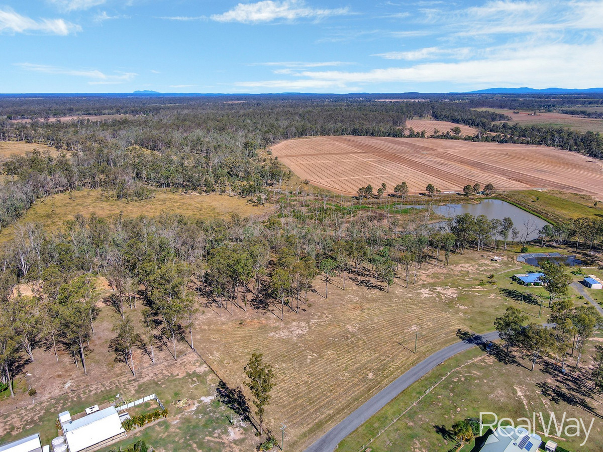  Lifestyle block Ready for your Dream Home