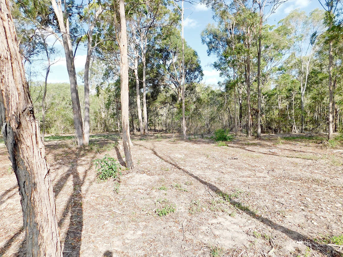 Bush Block Near Town 
