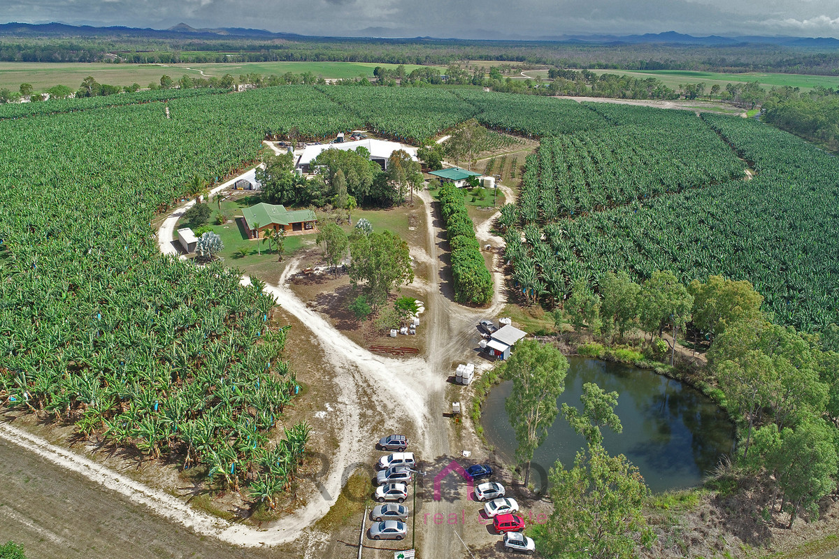 Mareeba Banana Farm Rogato Real Estate