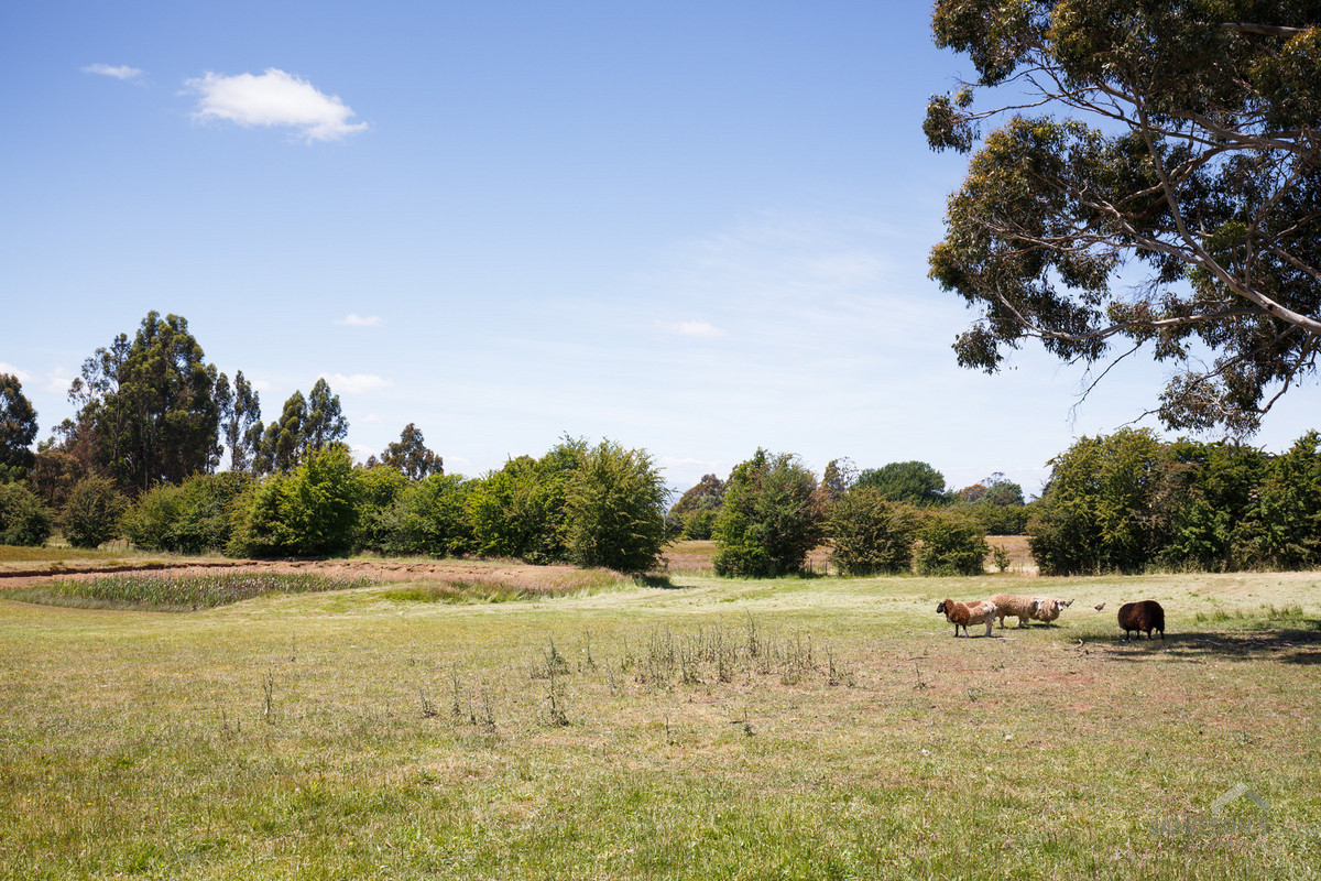Small acreage block in Westbury Lee Jamieson's Real Estate