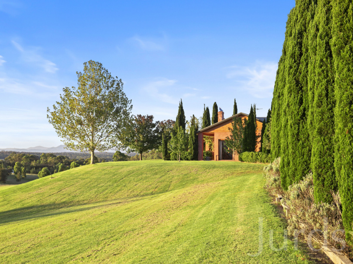 LUXURY HOMESTEAD & ORGANIC VINEYARD