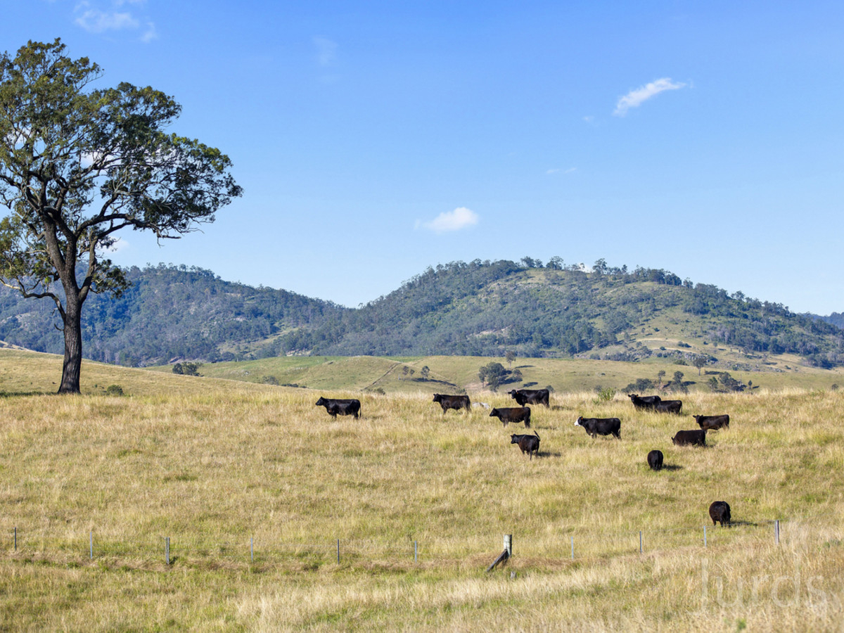 220 SUB-DIVIDEABLE ACRES WITH DOUBLE BROOK FRONTAGE – HUNTER VALLEY