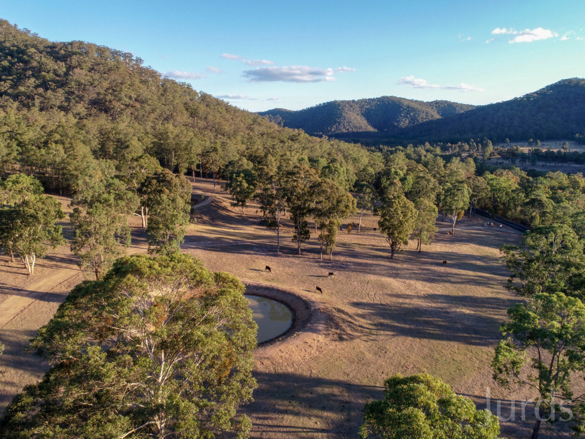 Plants and animals eagle rock