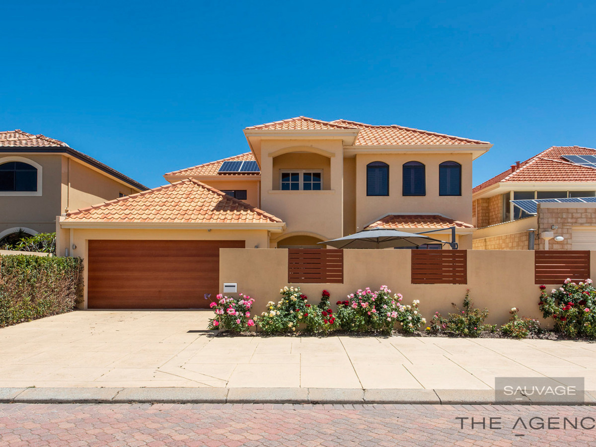 The Avocet Entertainer Sauvage The Agency