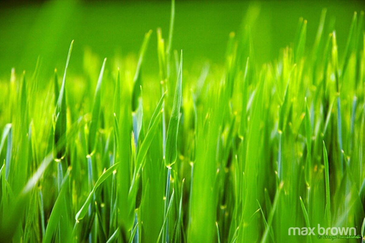 LOCATION, LOCATION!! Max Brown Real Estate Group