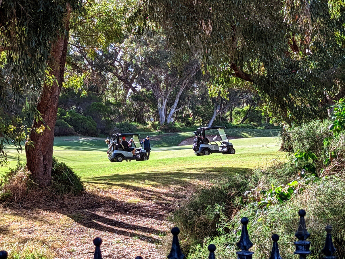 Big and Beautiful, with Golf Course Short Game Views! - Sauvage Properties
